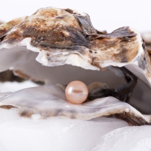 Oysters on ice with Pearl