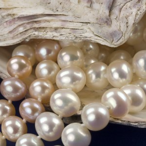Pearls1